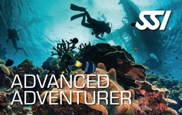 Scuba Diving Certification