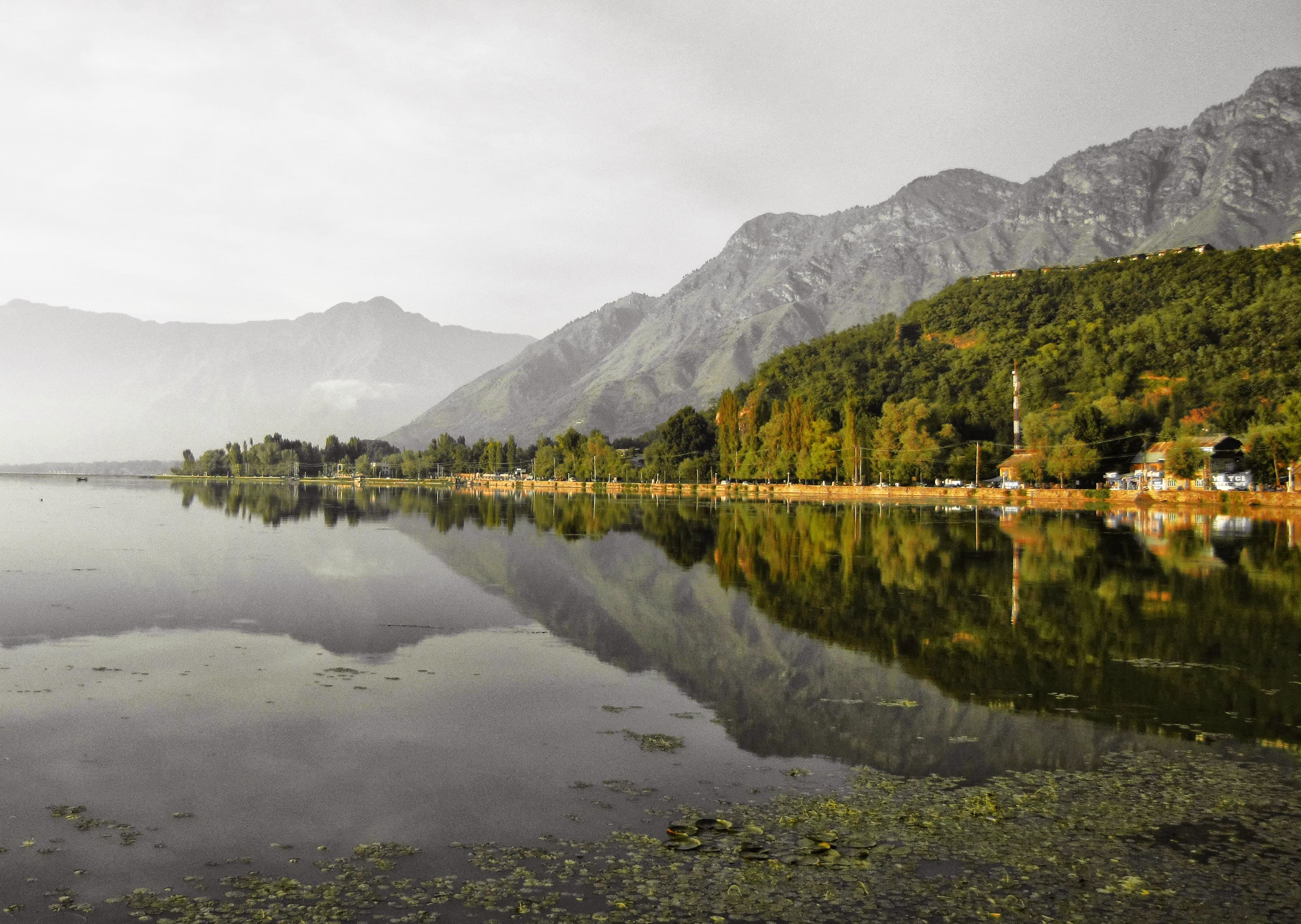 Photograph 24 by Jayanth Jagadeesh