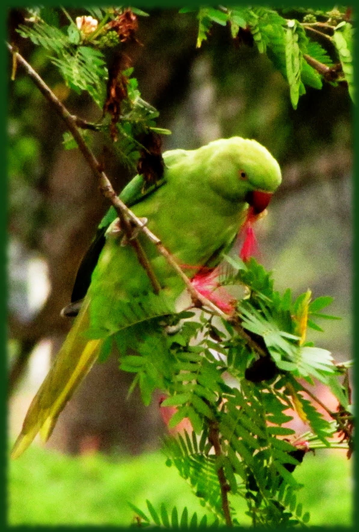 Photograph 13 by Jayanth Jagadeesh