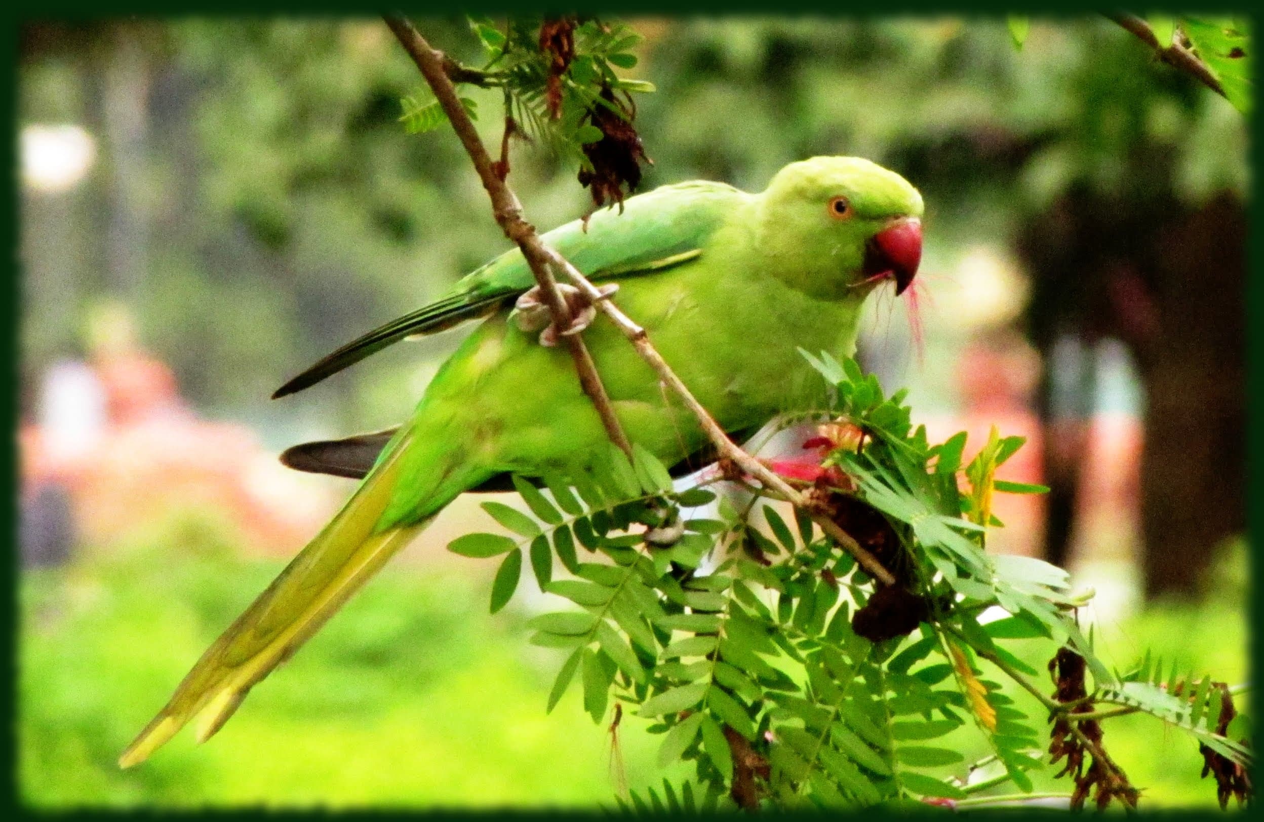 Photograph 12 by Jayanth Jagadeesh