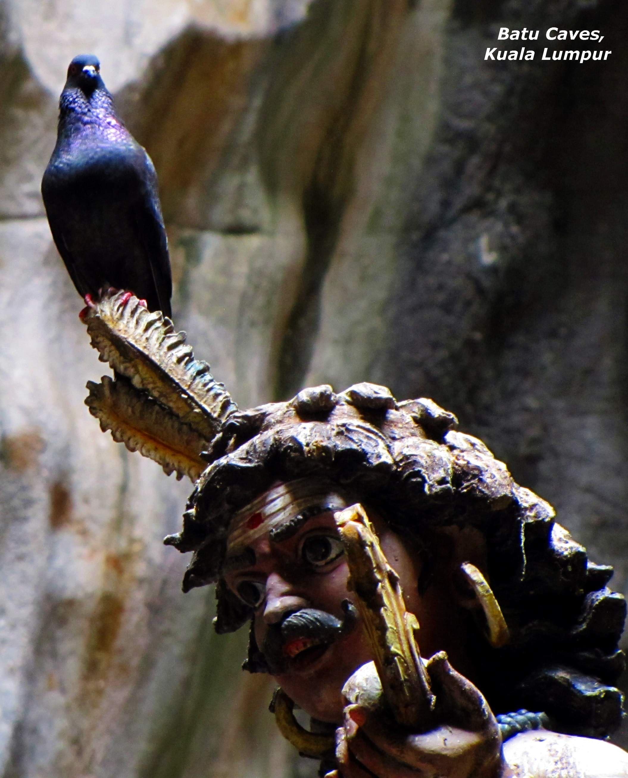 Photograph 10 by Jayanth Jagadeesh