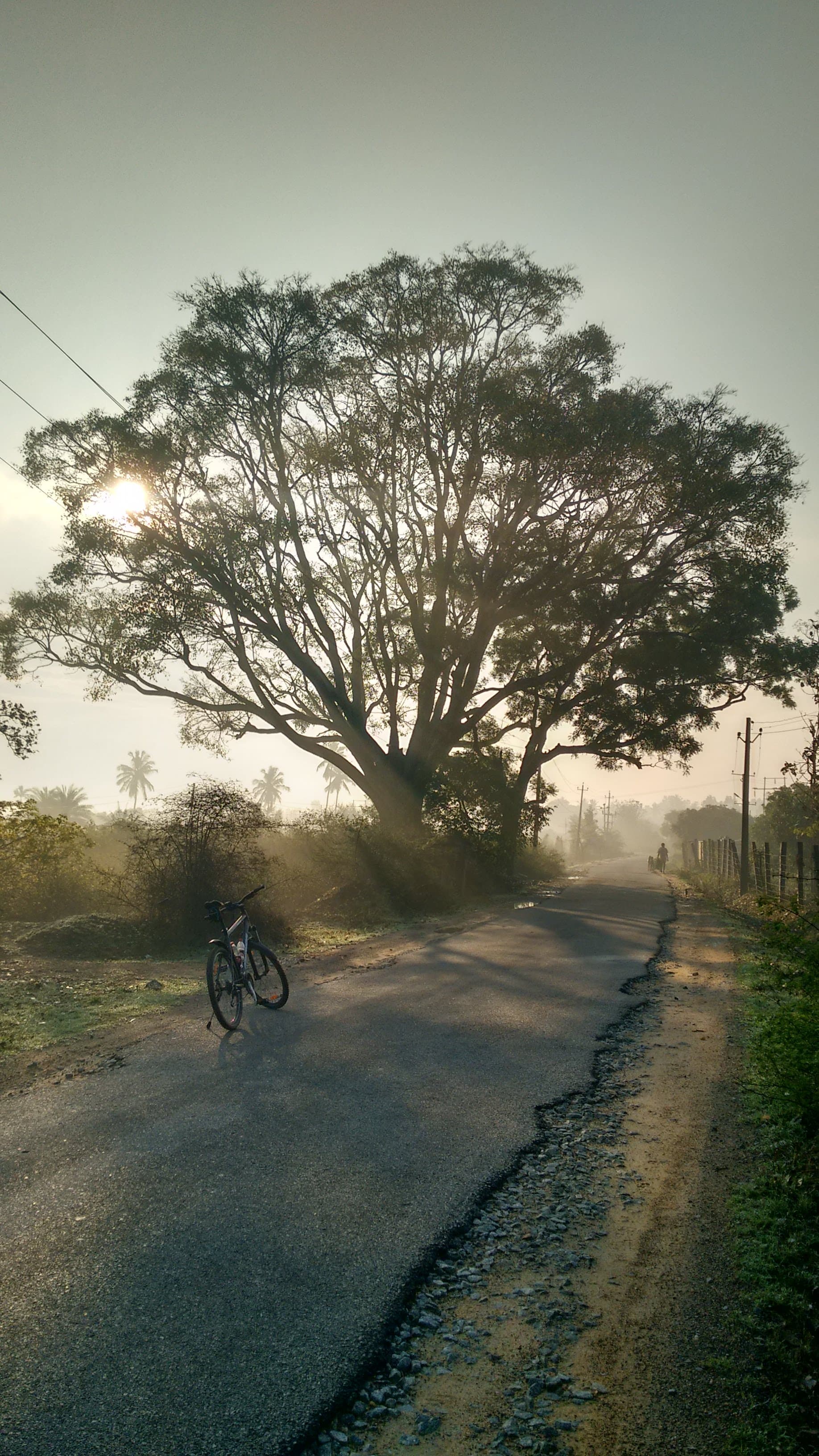 Photograph 3 by Jayanth Jagadeesh