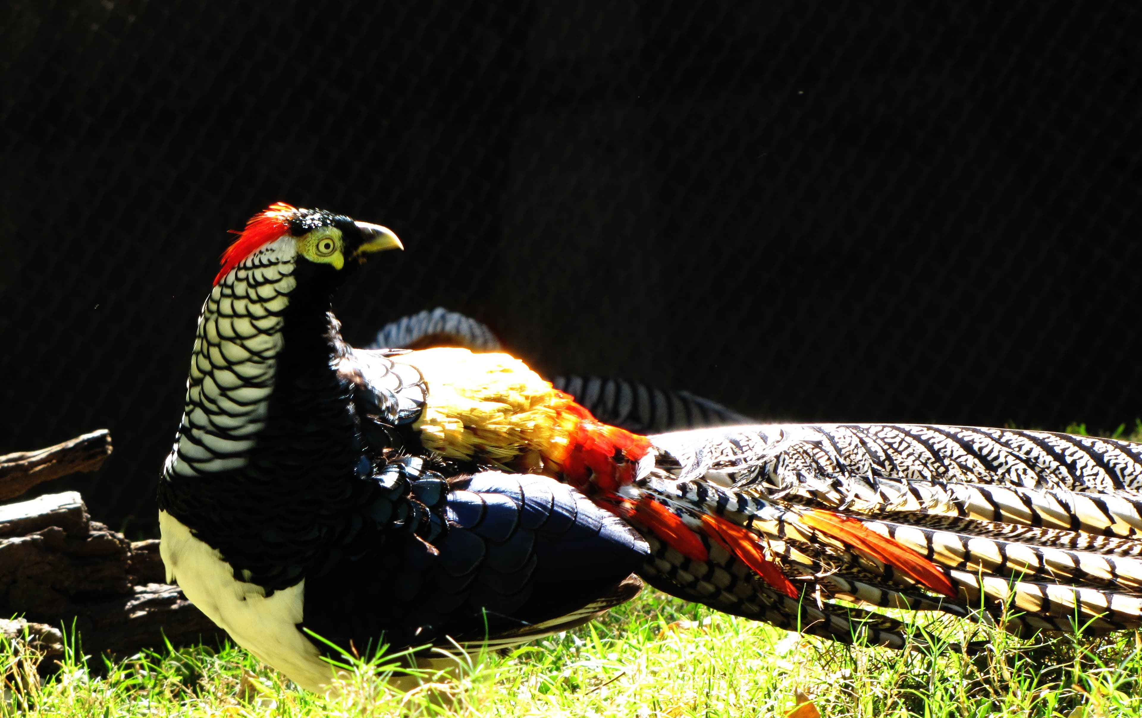 Photograph 9 by Jayanth Jagadeesh