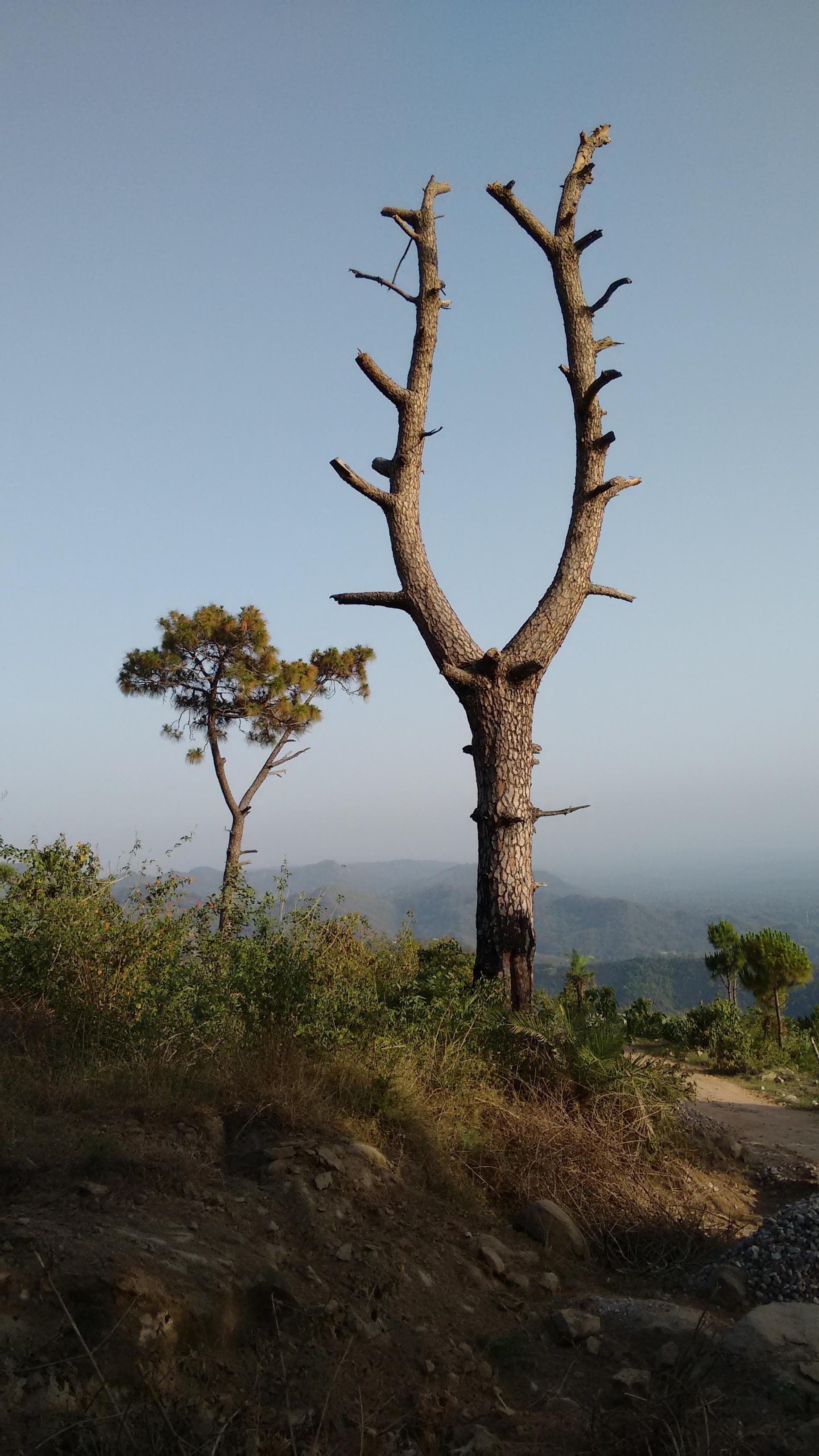 Photograph 5 by Jayanth Jagadeesh