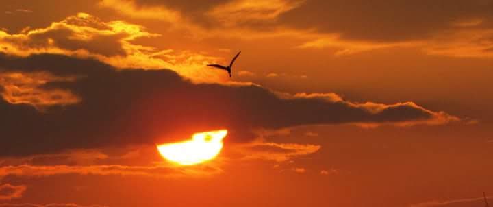 Photograph 21 by Jayanth Jagadeesh