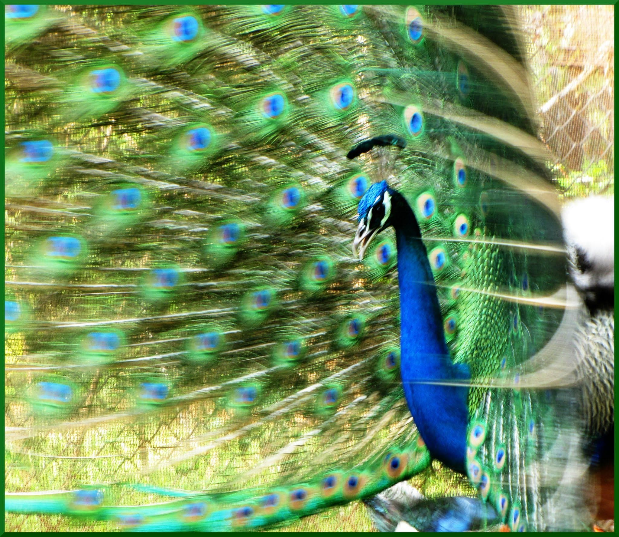 Photograph 27 by Jayanth Jagadeesh