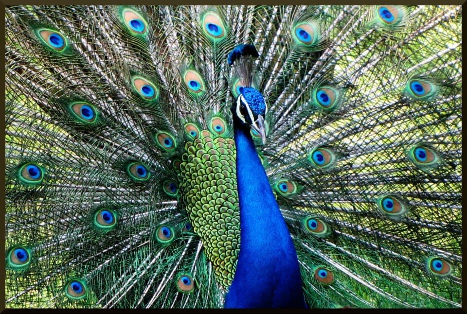 Photograph 28 by Jayanth Jagadeesh